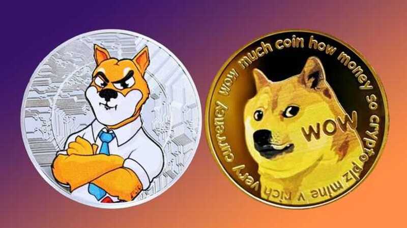 Shiba Inu se presenta como la cripto que acabara con Dogecoin.