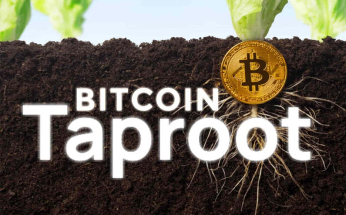 Desde el domingo 14 de noviembre está activo Taproot, el nuevo upgrade de Bitcoin.
