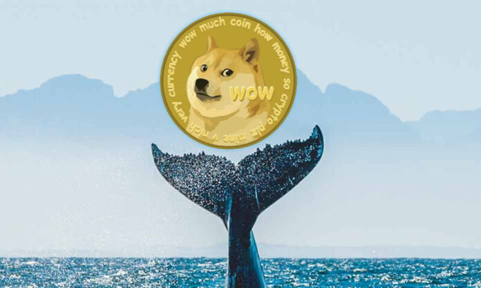 Ballena de Dogecoin ya posee más de 6 millones de tokens.